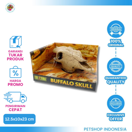Exo Terra Buffalo Skull Reptil