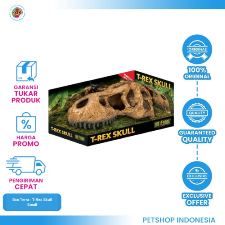 Exo Terra - T-Rex Skull Small