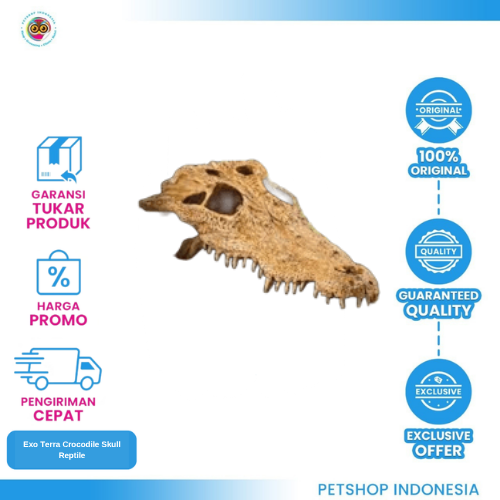191 Exo Terra Crocodile Skull Reptile
