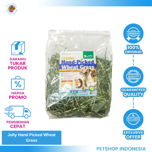 403 Jolly Hand Picked Wheat Grass – Rumput Segar Pilihan untuk Kelinci yang Sehat dan Bahagia
