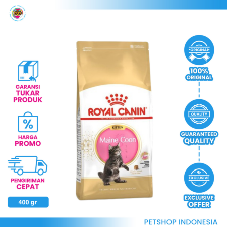 Royal Canin Kitten Maine Coon 36 400gr – Makanan Anak Kucing