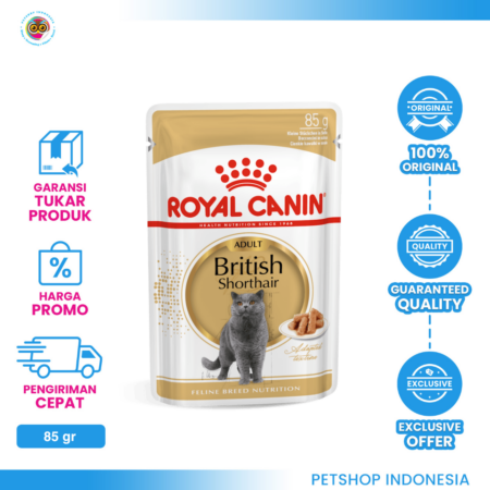 Royal Canin British Shorthair Adult Pouch 85gr – Makanan Basah Kucing Dewasa