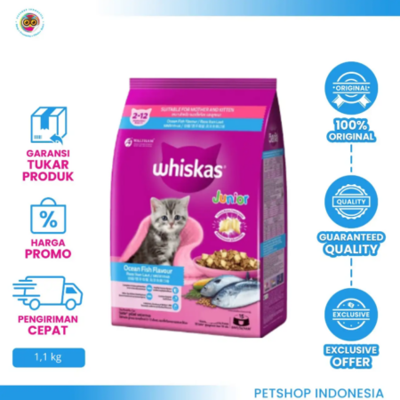 Whiskas Junior 1.1 kg – Makanan Kering Khusus Anak Kucing
