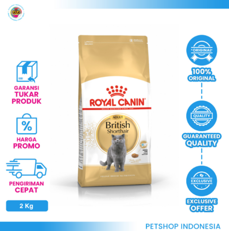 Royal Canin British Short Hair Adult 2 kg – Makanan Kucing Dewasa