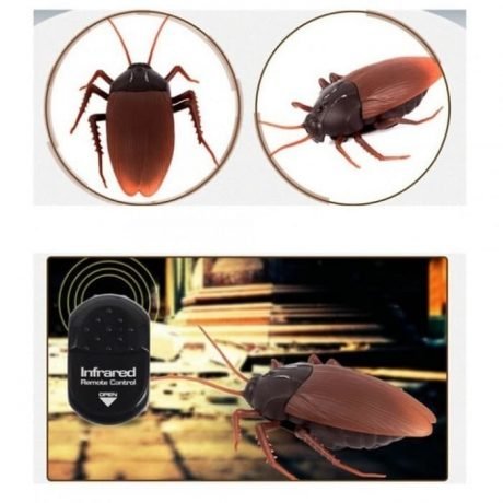 Government Remote Control Cockroach Backpack Jual Giant Cockroach Remote Control – Mainan Kecoa Realistis di ...